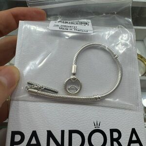 Pandora Sterling Silver Charm Bracelet